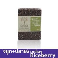 ราคา จมูก+ปลายข้าวกล้อง ไรซ์เบอร์รี่ ออร์แกนิค (2788513148)