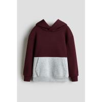 ราคา H&M(เอชแอนด์เอ็ม) เสื้อฮู้ดดีไซน์สีตัดกัน Boys Colour-blocked hoodie 1311608_2 (42223988425)