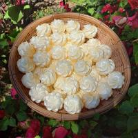 ราคา งานตัวเปล่า ดอกมะลิเหรียญโปรยทาน (29523689215)