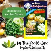 ราคา 333(ตองสาม) 3A เมล็ดพันธุ์ มันแกว มันสะเภา ตราสามเอ (AAA） (5065940135)
