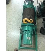 ราคา รอกสลิงไฟฟ้า Electric Chain Hoist (14799565330)