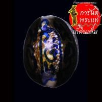 ราคา เบี้ยแก้ หลวงปู่หงษ์ หลัง เหรียญเม็ดแตง นะเมติ ปี ๒๕๕๔ – ๒๕๕๕ (28303764201)