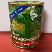 ราคา เมล็ดพันธุ์ คะน้าฮ่องกงจัมโบขนาด65กรัม (6523986524)