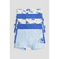 ราคา H&M(เอชแอนด์เอ็ม) ชุดกางเกงในทรงบรีฟ 5 ชุด เด็กผู้ชาย 1010214_5 (26755772375)