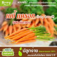 ราคา อินทรีย์ ต้น ดอก/เมล็ดพันธุ์ผักสลัด เบบี้ แครอท 300เมล็ด อัตราการงอก95% เมล็ดพันธุ์ ผักสลัด เมล็ดผัก เมล็ดผักสลัด(แถ GX6 (15091235699)