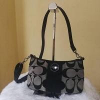 ราคา กระเป๋า coach แท้ มือสอง #F17439 กระเป๋าสะพายข้างผู้หญิง Coach Signature Stripe Demi Crossbody (4151353955)