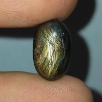 ราคา พลอย สตาร์ แซฟไฟร์ ธรรมชาติ ดิบ แท้ ( Natural Black Star Sapphire ) หนัก 11.86 กะรัต (17633403513)