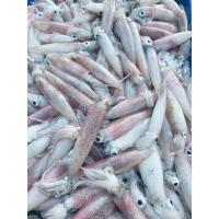 ราคา ปลาหมึกสด ปลาหมึกกระตอย ปลาหมึก จากทะเลประจวบฯ ถุงละ 1 กก. (28852247265)