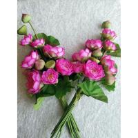 ราคา ดอกบัว บัว ดอกบัวชมพู บัวชมพู ชุดดอกบัวชมพู ชุดดอกบัวชมพูช่อใหญ่ 7 ดอก (แพ็ค คู่ 3390) (4452242877)