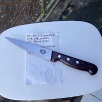 ราคา มีดแล่ มีดเลาะกระดูก VICTORINOX SWISS ใบยาว 160mm สวยๆ (26412047893)