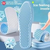 ราคา พื้นรองเท้าระบายอากาศแบบตาข่าย INNICE, Memory Foam Shock Absorption พื้นรองเท้าเย็น, แผ่นรองเท้าดูดซับเหงื่อยืดหยุ่นสูงแบบนุ่ม (29838018686)