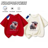 ราคา (จัดส่งตลอด 24 ชั่วโมง)2025สินค้าใหม่! เสื้อยืดแขนสั้นสำหรับเด็กสบายและนุ่ม ผ้าฝ้ายแท้ 100% N594 (28177134092)