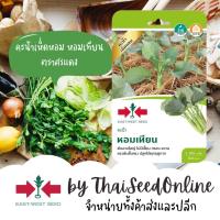 ราคา Sorndang(ศรแดง) GGEW เมล็ดพันธุ์ คะน้าเห็ดหอม หอมเทียน ตราศรแดง Kale (24341439315)