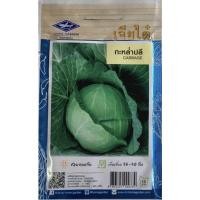ราคา เมล็ดพันธุ์ กะหล่ำปลี เมล็ดกะหล่ำ เมล็ดพันธ์ุกะหล่ำปลี เมล็ดพันธ์ุพืช เมล็ดกะหล่ำปลี ผักสวนครัว (8394743726)