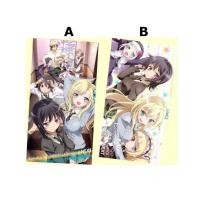 ราคา ผ้า ชมรมคนไร้เพื่อน[Boku wa Tomodachi ga Sukunai NEXT ~Haganai NEXT~ Multi-Cloth All 2 Types] (43208601975)