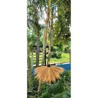 ราคา ไม้กวาดดอกหญ้าด้ามไม้ไผ่ปลายด้ามมีตะขอสำหรับเกี่ยว1 อัน 75฿ (29457141511)