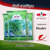 ราคา เมล็ดพันธุ์ผักชีสายพิรุณ 300g (29110993681)