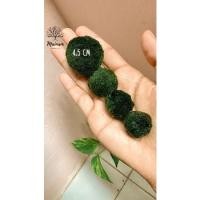 ราคา มาริโมะขนาด4cmแท้marimo (8677802782)