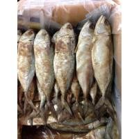 ราคา ปลาทู ปลาทูหอม ปลาทูแม่กลอง ไซส์ใหญ่(1 กิโลกรัม)ปลาทูหอมเค็ม ปลาทูหอมแม่กลอง ปลาทูหอมมัน ราคาพิเศษ ไม่เค็มมาก (พร้อมส่ง) (3778358510)