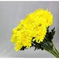 ราคา OrientalFineArt ดอกฟูจิมัมสีเหลือง ดอกไม้ประดิษฐ์เกรดพรีเมี่ยม ดอกสวย Artificial Fuji Mum stem(ST-00324 Yellow) (8307855588)