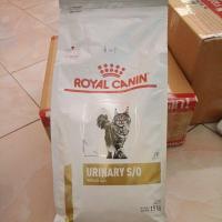 ราคา Royal Canin Urinary S/O Cat 1.5KGอาหารแมว โรคนิ่ว อาหารแมวโรคนิ่ว (16894026947)