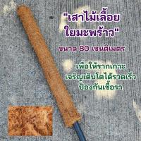 ราคา เสาไม้เลื้อย เสาใยมะพร้าว ขนาด 80 ซม. หลักไม้เลื้อย เสาใยมะพร้าว หลักใยมะพร้าว หลักต้นไม้ ไม้เลื้อยใยมะพร้าว (20791164907)