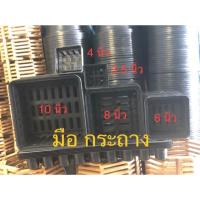 ราคา กระถางกล้วยไม้ # 4 นิ้ว จำหน่ายเป็น โหล (1979089811)