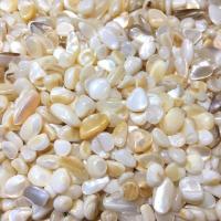 ราคา เปลือยหอยมุก สีมุก 5-8 มิล 100g เปลือกหอยธรรมชาติ งานตกแต่ง ประดับต้นไม้ สวยงาม ใส่เทียนหอม DIY ตู้ปลา (14121389565)