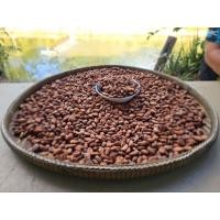 ราคา เมล็ดโกโก้แห้ง คาเคา (Cacao Beans) โกโก้เมล็ด ขนาด 500 กรัม - ของระยอง บ้านแลง (24303787167)