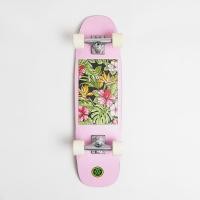 ราคา DUSTER สเก็ตบอร์ดครุยเซอร์พร้อมเล่น TROPIC CRUISER 29 (43875259273)