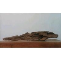 ราคา ตอไม้แต่งสวนน้ำ ขอนไม้แต่งสวน ขอนไม้ตู้ปลา (24155952752)