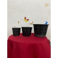 ราคา กระถางมือสอง กระถางพลาสติก กระถาง 4 นิ้ว (23427314490)