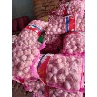 ราคา ซื้อ10กก.ฟรี หอมแดง1กิโลกระเทียมปิงปองขาว รุ่น 10ก (8509942359)