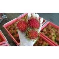 ราคา เงาะโรงเรียน เงาะสด เงาะ เกรดคุณภาพ เงาะ ผลไม้สด เงาะสด เงาะ หวาน อร่อย 1-3 kg. สอบถามก่อนกดสั่งซื้อ Nara Furit (41808951268)