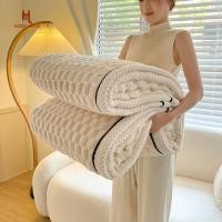 ราคา ผ้าห่มสักหลาดนุ่ม ผ้าห่มนาโนฤดูหนาว ผ้าห่มกํามะหยี่ ผ้าห่มขนสัตว์ ผ้าห่มกระต่าย 3.5 ฟุต 5 ฟุต 6 ฟุต 6.5 ฟุต (27272849274)