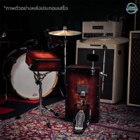 ราคา Echoslap Gig Box Cajon คาฮอง พร้อมอุปกรณ์กลอง ชุดกลอง Percussion (25522389616)
