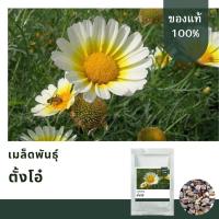 ราคา เมล็ดพันธุ์ตั้งโอ๋ บรรจุ 1,000 เมล็ด (16871908066)