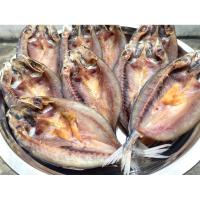 ราคา ปลาทูแขกแดดเดียว by.มันปูปากพนัง 1แพ็ค 500กรัม (40966799000)