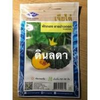 ราคา ฟักทอง ลายข้าวตอก เมล็ดพันธุ์เจียไต๋ สินค้าพร้อมส่ง (481171669)