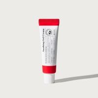 ราคา MIZON Goodbye Blemish Soothing Gel Cream 55ml (17197848182)