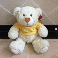 ราคา ตุ๊กตา หมี แบรนด์ Anee Park x Krungsri กรุงศรี ของแท้ เนื้อผ้าดีมาก การตัดเย็บคือเนี๊ยบ พกพาไปมาสะดวกมา ของใหม่ มือ 1 (8806572074)