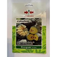 ราคา ปฐพีผลใหญ่ ศรแดง Pumpkin เมล็ดพันธ์ุฟักทองลูกผสม ชื่อพันธ์ุ ปฐพีผลใหญ่ เมล็ดพันธ์ุคุณภาพตราศรเเดง บรรจุในซองควบคุมคุณภาพ (7131866418)