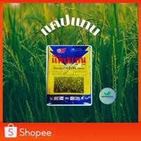 ราคา แคปแทน หัววัว ขนาด 1 กิโล ยาเชื้อรากันราแคปแทน เอ็มซีแคปแทน แก้เชื้อราในพืช ยาเชื้อราในพืช ฆ่าเชื้อราในพืช (28229597855)