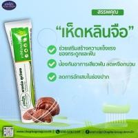 ราคา ยาสีฟันสมุนไพรมาเด้อภูเวียงผสมสารสกัดจากว่านหางจระเข้ เห็ดหลินจือ ใบบัวบก (เพ็ญพิมล) (24767909760)