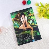 ราคา Black Flower คำสาปใต้เงาแค้น เล่ม 1 / Yu Wo (15114633670)
