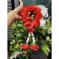 ราคา พวงมาลัยดาวเรืองสีแดง (มาลัยดาวเรืองสีแดงทรงกลม2ชาย) พวงมาลัยดาวเรืองสีแดง (8007704753)