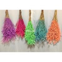 ราคา ดอกแคสเปียร์ ช่อดอกไม้แห้ง แคสเปียร์ย้อมสี แคสเปีย Caspia ดอกไม้แห้ง ดอกไม้ย้อมสี ของแต่งบ้าน(พร้อมส่ง) (20865753922)