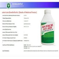 ราคา (ยกโหล 12 ขวด) Antacil Gel HH 240 ml แอนตาซิล 240 มล ยาสามัญประจำบ้าน (29402049450)