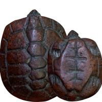 ราคา พญาเต่าเรือน หลวงพ่อเงิน พุทธบารมี พระเครื่อง ตรงปก (20384897809)