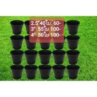 ราคา กระถางต้นไม้ 2.5-4 นิ้ว กระถางพลาสติกสีดำ กระถางกลมดำ (6615686848)